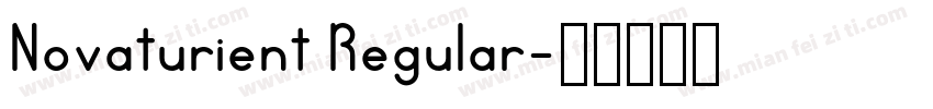 Novaturient Regular字体转换